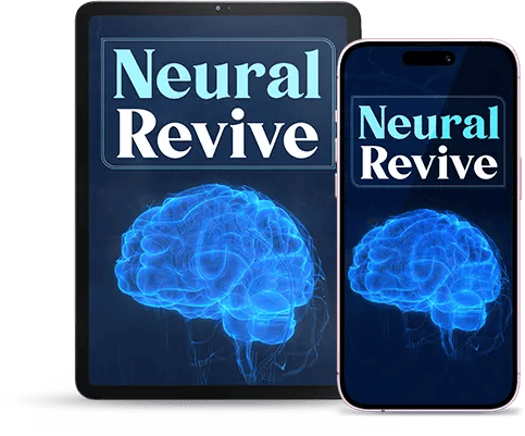 Wealth DNA Code bundle